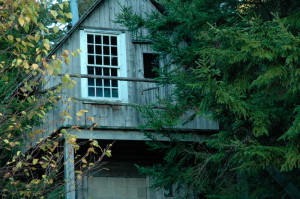 Oct 2007 sauna early winter 08-26